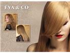 Eva & Co, ¿Quieres verte bella y renovada? Esta es tu oportunidad, Cuponaso y Eva & Co te traen una promoción que no puedes desaprovecharla, Alisado permanente con keratina libre de Formol a un precio de locura 