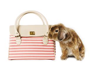 1223 Producciones, 1223 Producciones es una empresa ecuatoriana dedicada a la producción de fotografía, música y diseño gráfico. Nuestros servicios que ofrecemos van de la mano con las exigencias y necesidades de los clientes, con el fin de brindar soluciones integrales por medio de trabajos de excelencia.