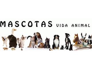 Mascotas y Algo Mas, Alimentación y Accesorios, Alborada