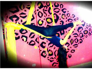 Wonderdolls Danza Aérea, Wonder Doll es una escuela de danza aérea, cuenta con una amplia experiencia donde podrás aprender algo diferente y obtendrás lo que esperas en tu cuerpo, mente y salud.