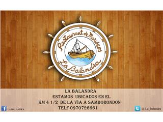 La Balandra, Tenemos 24 mariscos diferentes y con mas de 200 opciones de platos
