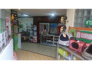 Burbujas Peluquería Canina, Burbujas Peluquería Y Centro de Esterilización animal surge del profundo  respeto y cariño que tenemos a los animales y el gusto  de trabajar con ellos y para ellos. Somos una organización con años de experiencia en el manejo de animales de compañía tanto en la parte médica como estética.